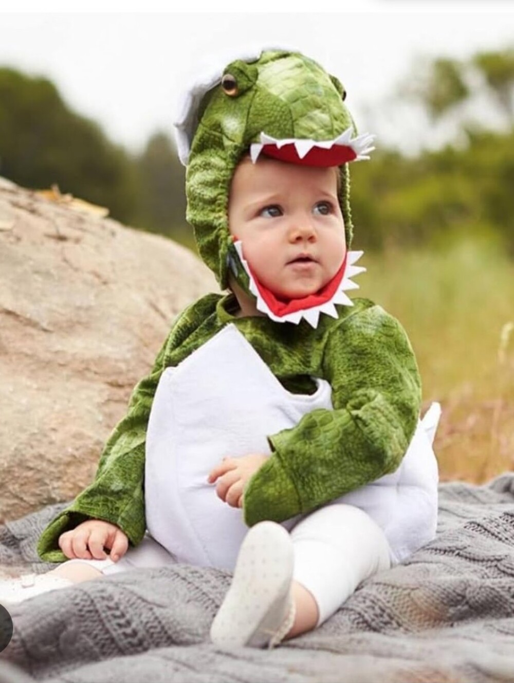 Pottery Barn T-Rex Hatching Egg Baby Dinosaur Halloween Costume 6- 12 Months NWT
